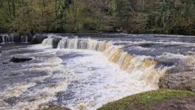 Aysgarth Falls and Bolton Castle Loop