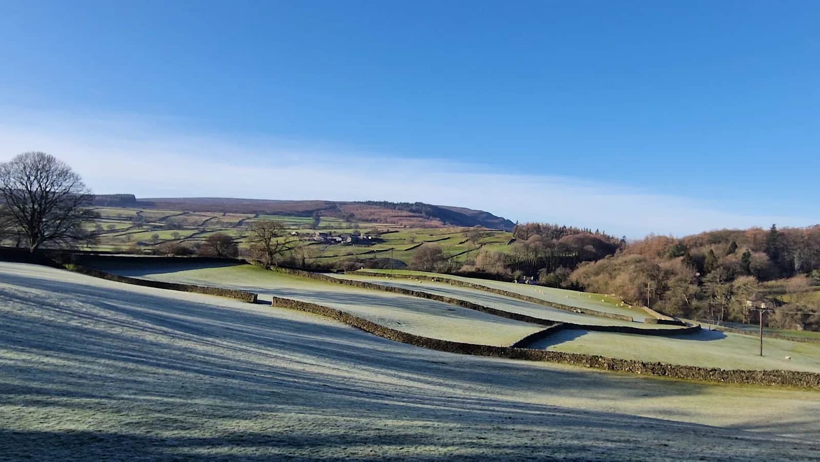 Burnsall Half from the Wharfe