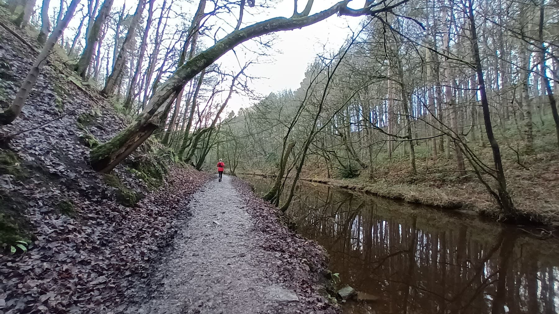 Skipton Woods