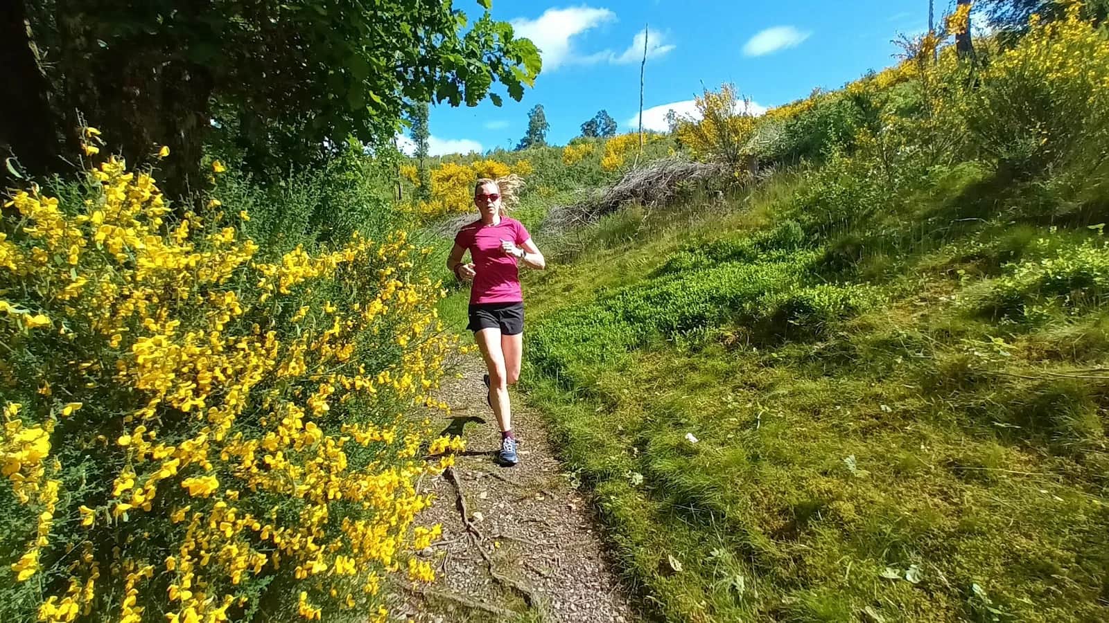 Comrie Hills Loop