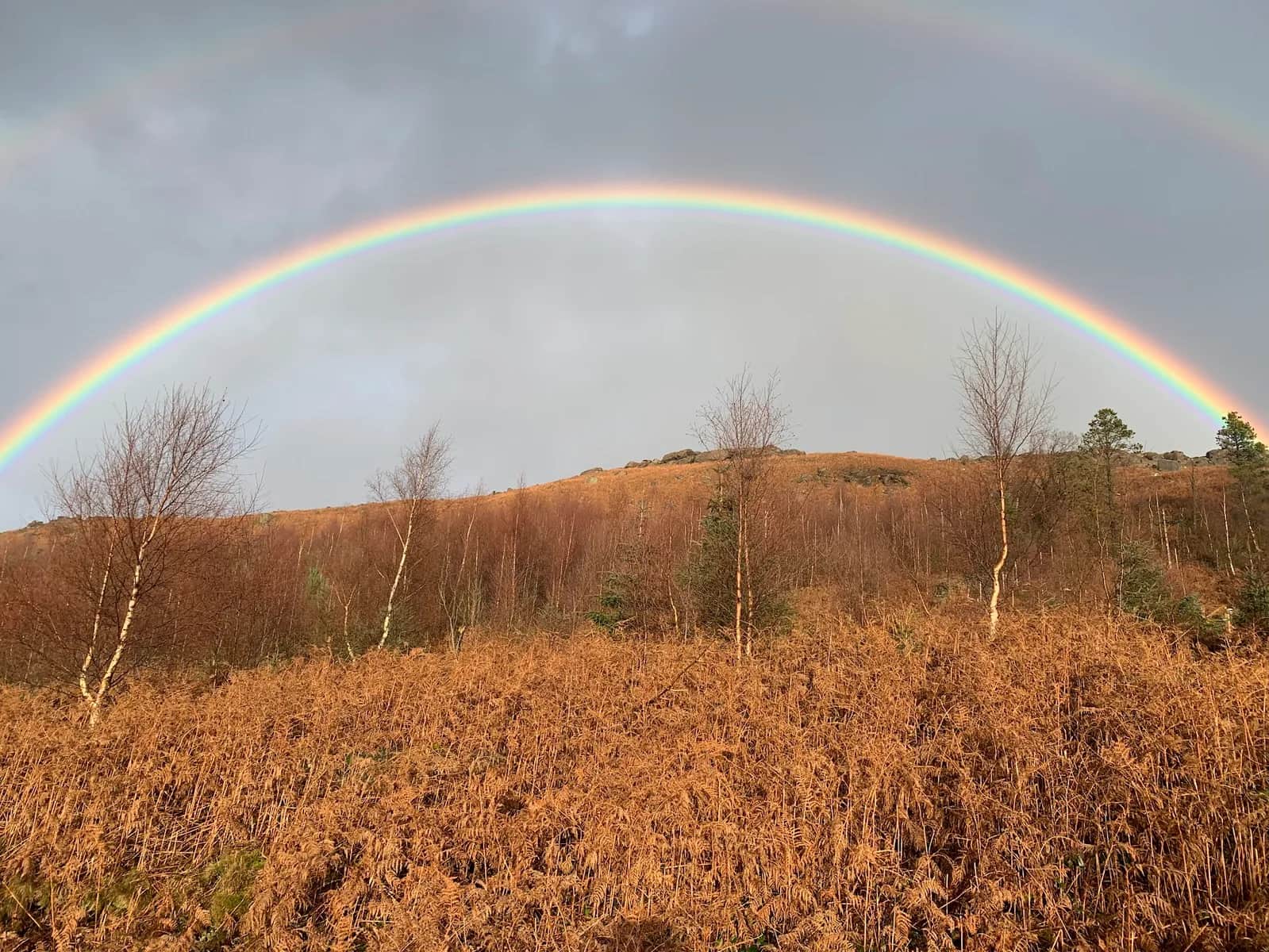 Sharp Haw from Skipton