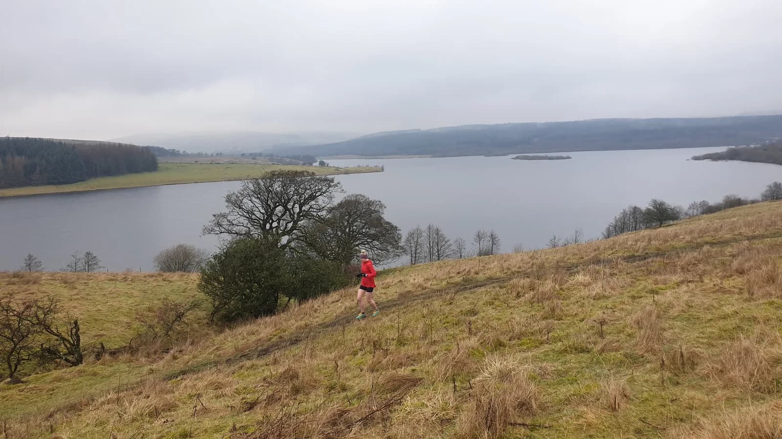 Stocks Reservoir and Gisburn Forest